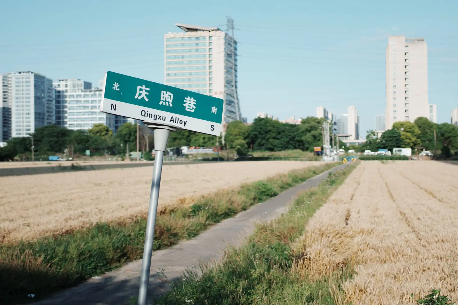 辽宁必定达电子商务2025年跨境服务项目运营方案解析封面图